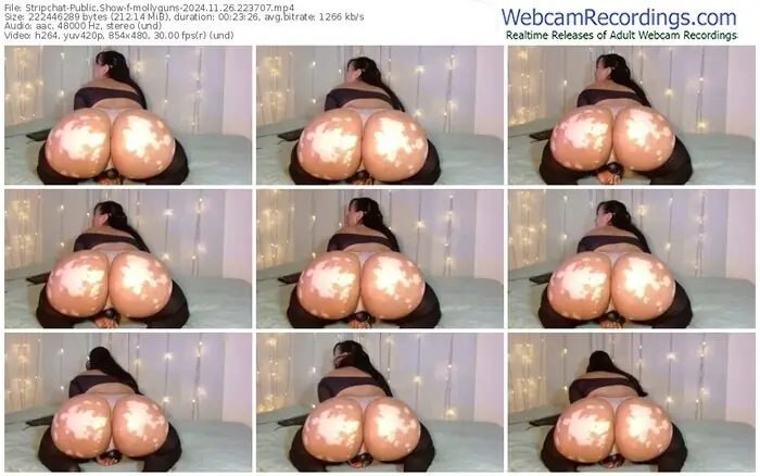 stripchat-mollyguns-11-26-2024-22-37-07