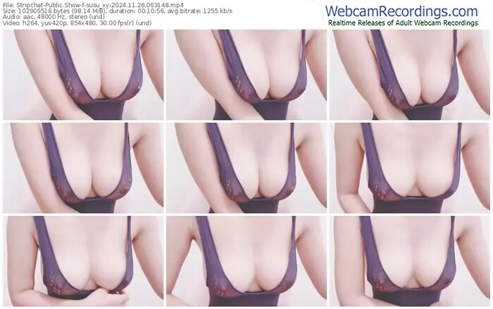 stripchat-susu_xy-11-26-2024-06-31-48