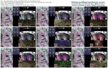 stripchat-z23002-11-26-2024-09-19-56