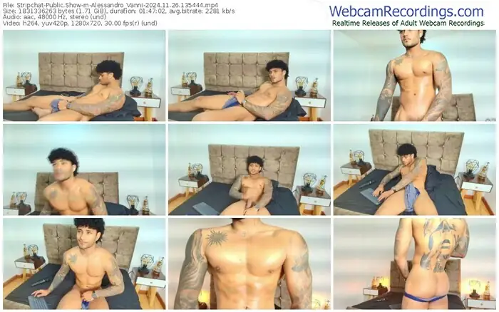 stripchat-alessandro_vanni-11-26-2024-13-54-44