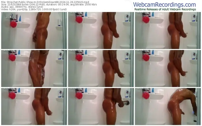 stripchat-drdickemdown88-11-26-2024-22-56-20