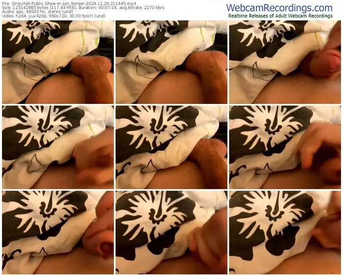 stripchat-jan_berger-11-26-2024-21-14-45