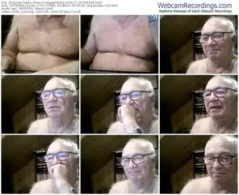 stripchat-biggandybig-11-26-2024-00-56-20