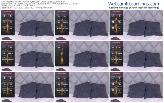 stripchat-kyron_jobs-11-26-2024-13-19-43