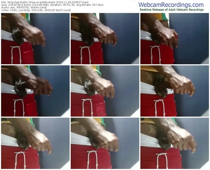 stripchat-phbbcsham-11-26-2024-00-06-27