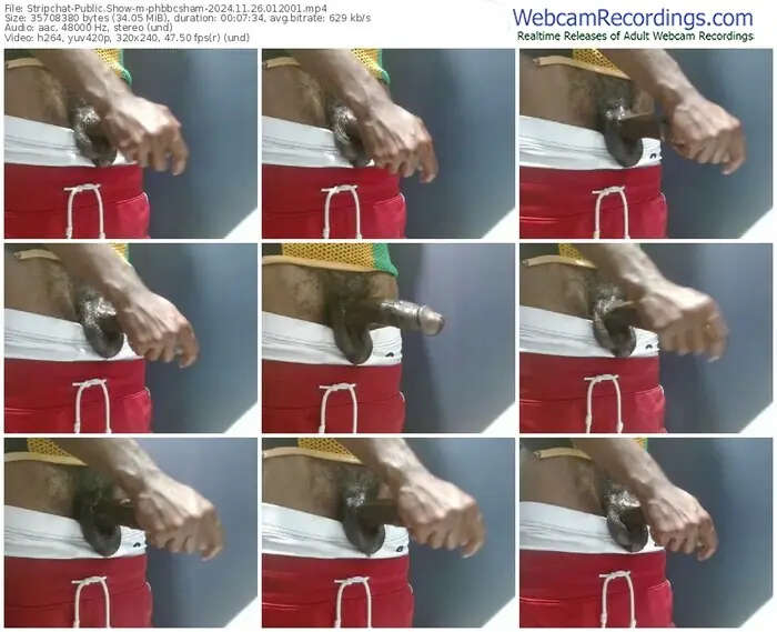 stripchat-phbbcsham-11-26-2024-01-20-01