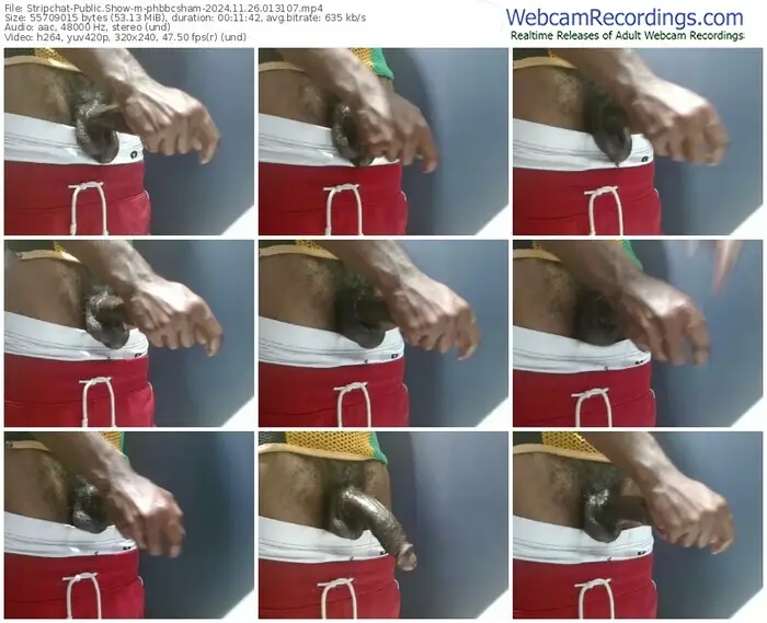 stripchat-phbbcsham-11-26-2024-01-31-07