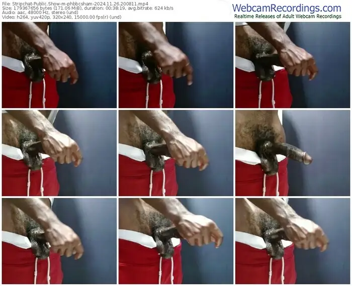 stripchat-phbbcsham-11-26-2024-20-08-11