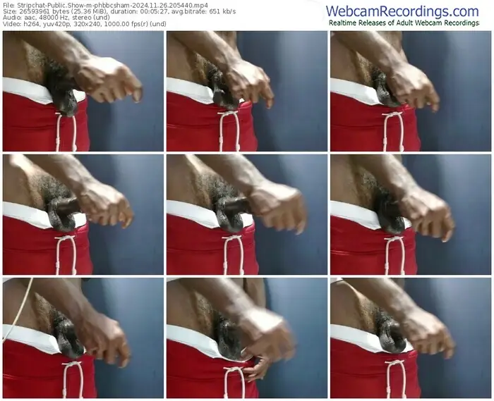 stripchat-phbbcsham-11-26-2024-20-54-40