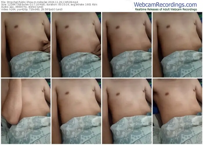 stripchat-rodovlaz-11-26-2024-13-45-28