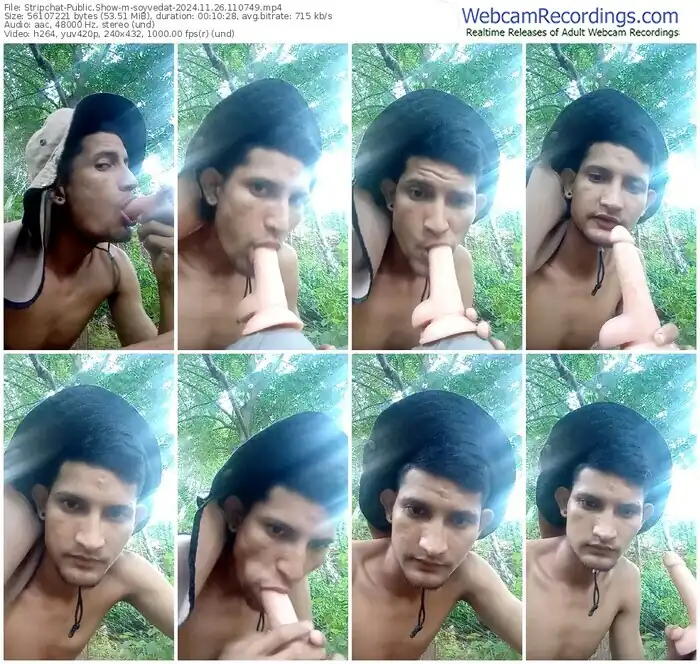 stripchat-soyvedat-11-26-2024-11-07-49