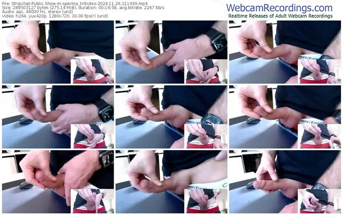 stripchat-sperma_tributes-11-26-2024-11-19-39
