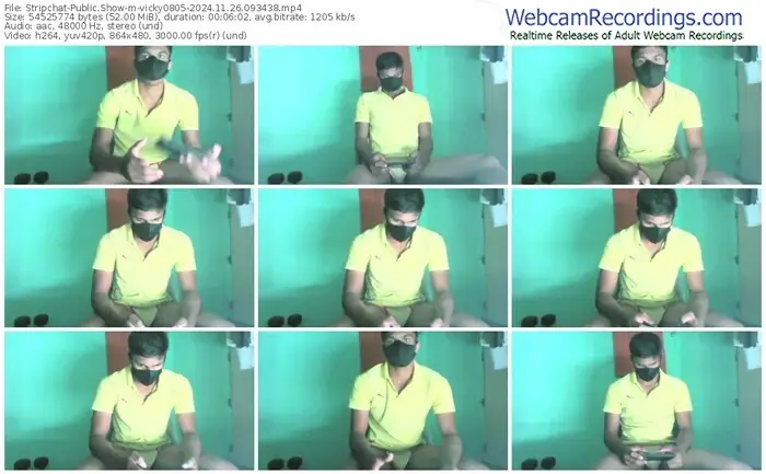 stripchat-vicky0805-11-26-2024-09-34-38