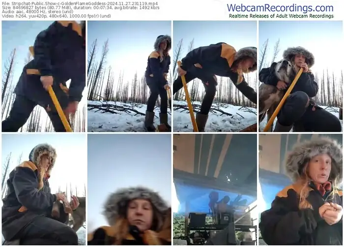 stripchat-goldenflamegoddess-11-27-2024-23-11-19