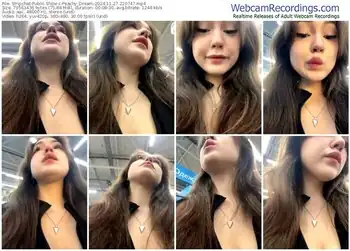 stripchat-peachy_dream-11-27-2024-22-07-47