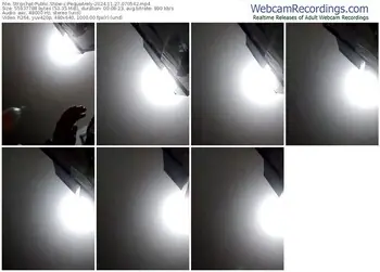 stripchat-pequearely-11-27-2024-07-05-42