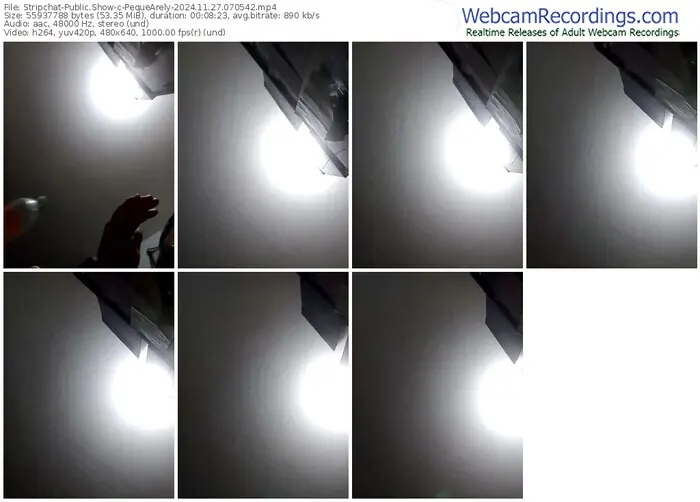 stripchat-pequearely-11-27-2024-07-05-42