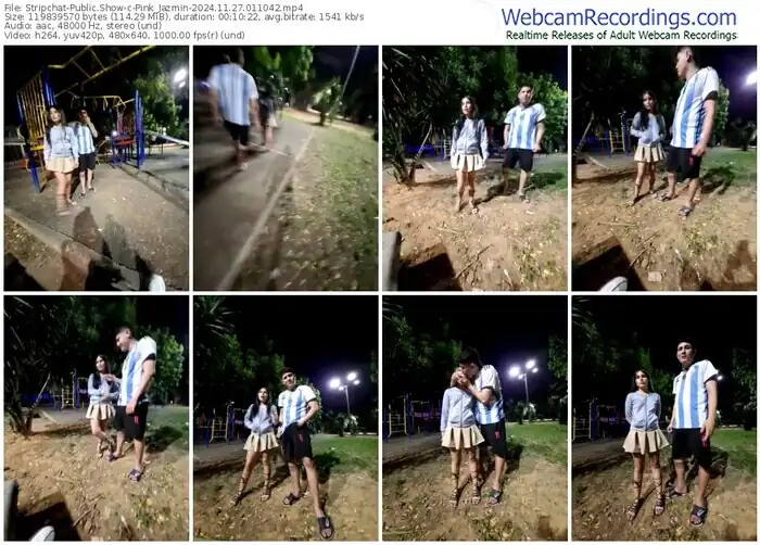 stripchat-pink_jazmin-11-27-2024-01-10-42