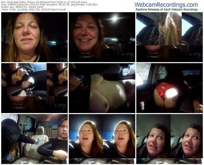 stripchat-s1nfullypurrfuct-11-27-2024-06-11-35