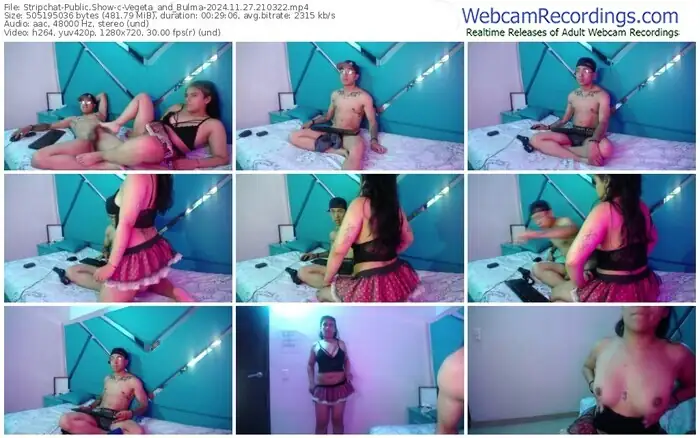 stripchat-vegeta_and_bulma-11-27-2024-21-03-22