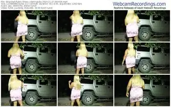 stripchat-darlingluky-11-27-2024-04-04-24