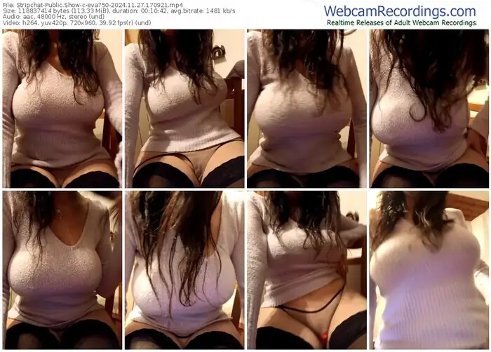 stripchat-eva750-11-27-2024-17-09-21