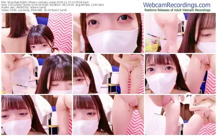 stripchat-irohani_usagi-11-27-2024-11-05-18