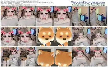 stripchat--ula--11-27-2024-21-35-15