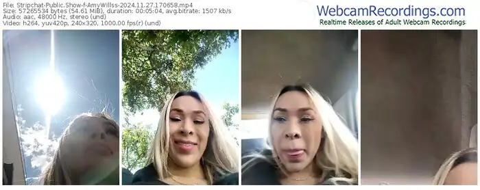 stripchat-amywillss-11-27-2024-17-06-58