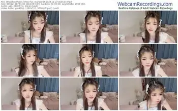 stripchat-ll-orangecat-11-27-2024-01-01-33