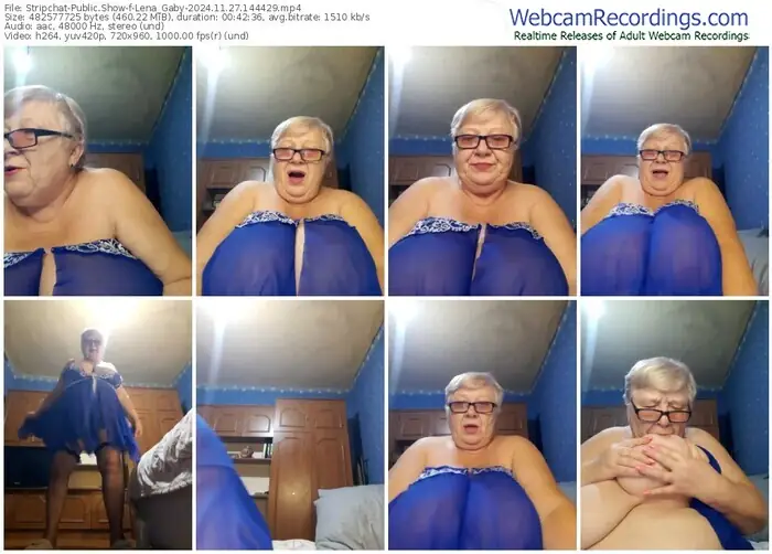 stripchat-lena_gaby-11-27-2024-14-44-29