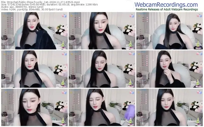 stripchat-lucky_cat--11-27-2024-14-35-21