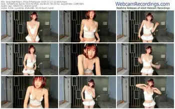 stripchat-pompumi-11-27-2024-11-34-09