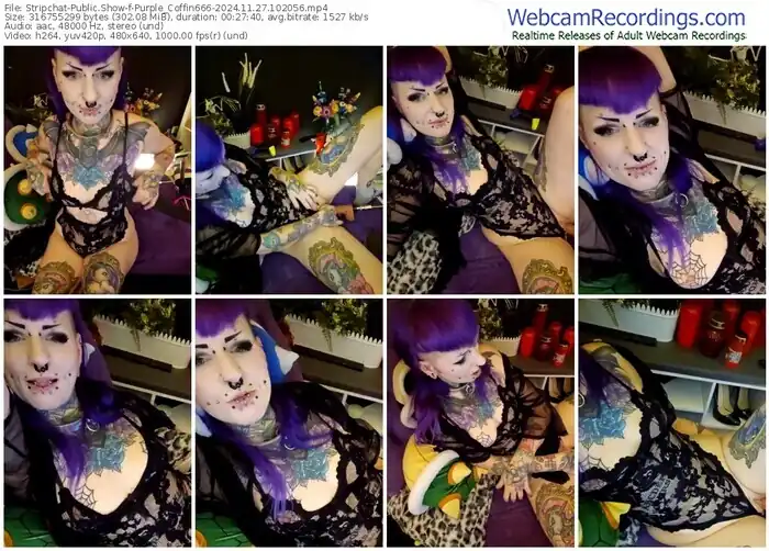 stripchat-purple_coffin666-11-27-2024-10-20-56
