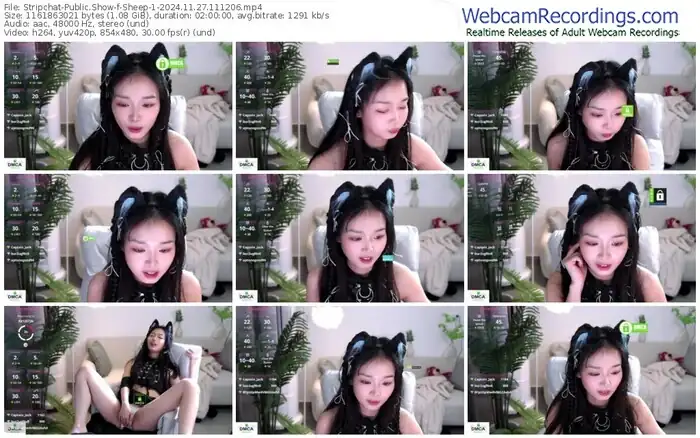 stripchat-sheep-1-11-27-2024-11-12-06