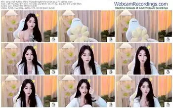 stripchat-speakingairline-11-27-2024-11-18-03