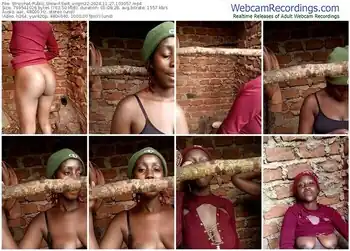 stripchat-swit_virgin22-11-27-2024-10-30-57