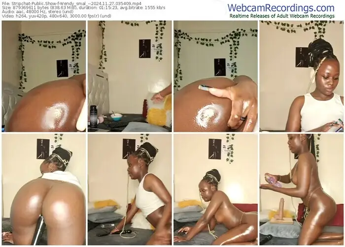 stripchat-wendy_smal_--11-27-2024-03-54-09