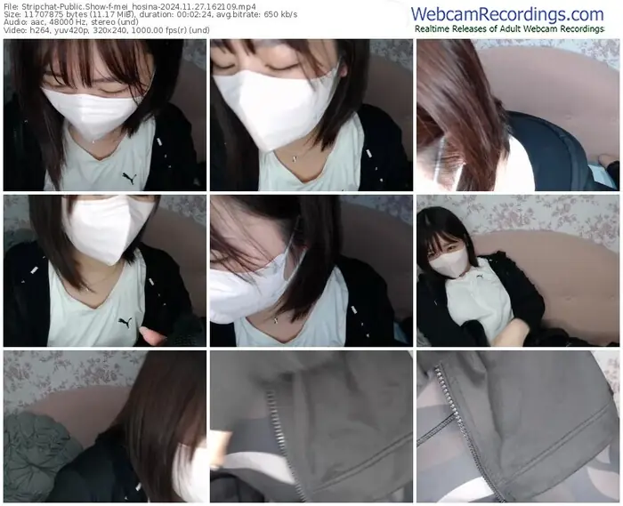 stripchat-mei_hosina-11-27-2024-16-21-09