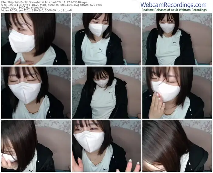 stripchat-mei_hosina-11-27-2024-16-36-48
