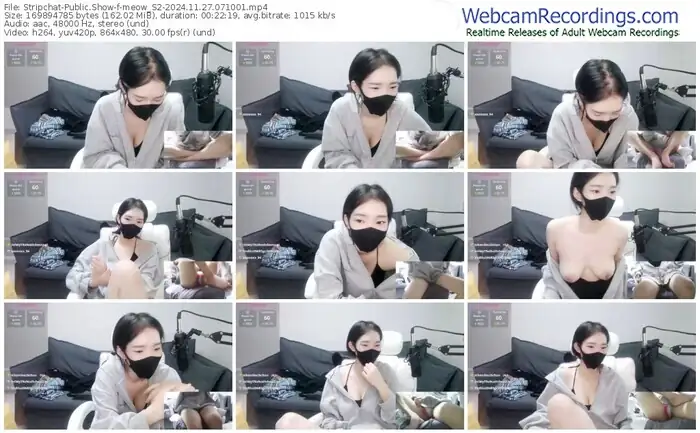 stripchat-meow_s2-11-27-2024-07-10-01