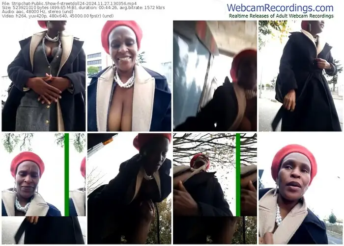 stripchat-streetdoll24-11-27-2024-13-03-56