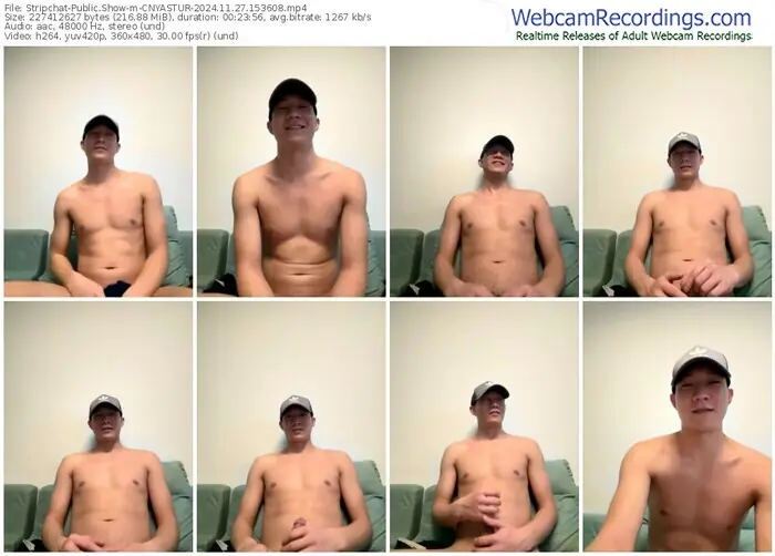 stripchat-cnyastur-11-27-2024-15-36-08