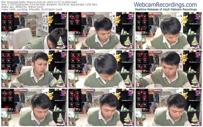 stripchat-dirk-61-11-27-2024-11-20-52