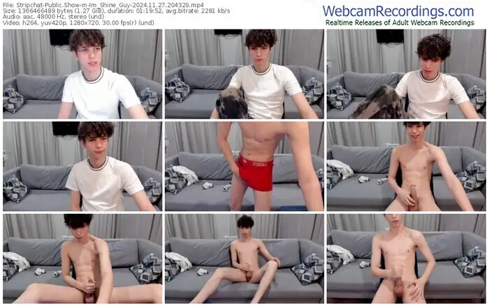 stripchat-im_shine_guy-11-27-2024-20-43-29