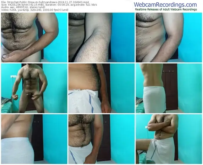 stripchat-sultryandrews-11-27-2024-16-49-43