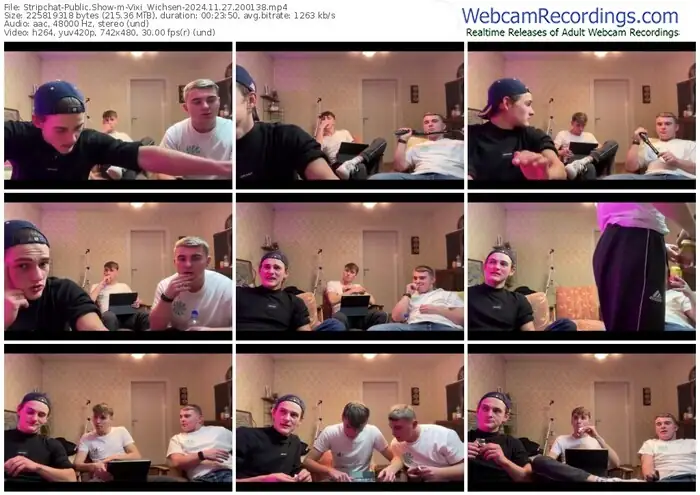 stripchat-vixi_wichsen-11-27-2024-20-01-38