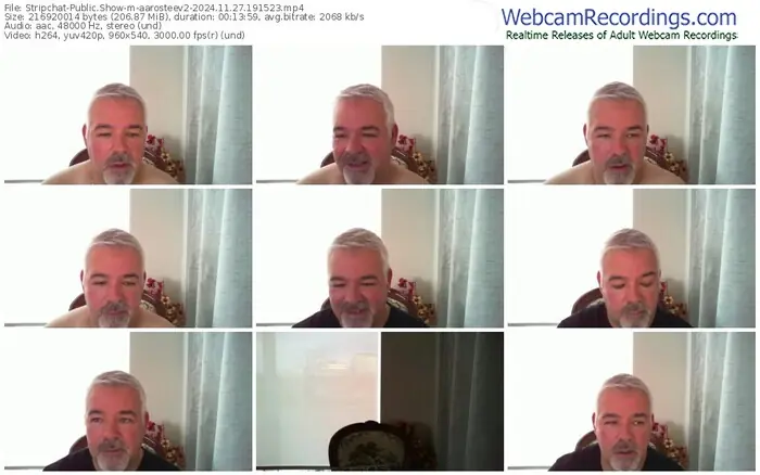 stripchat-aarosteev2-11-27-2024-19-15-23