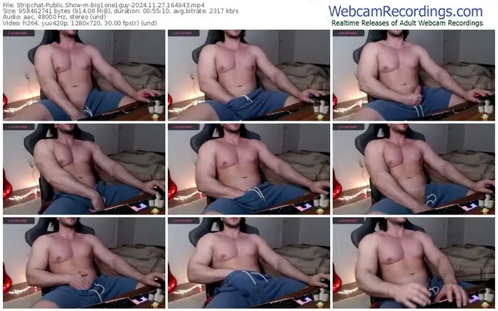 stripchat-big1one1guy-11-27-2024-16-49-43