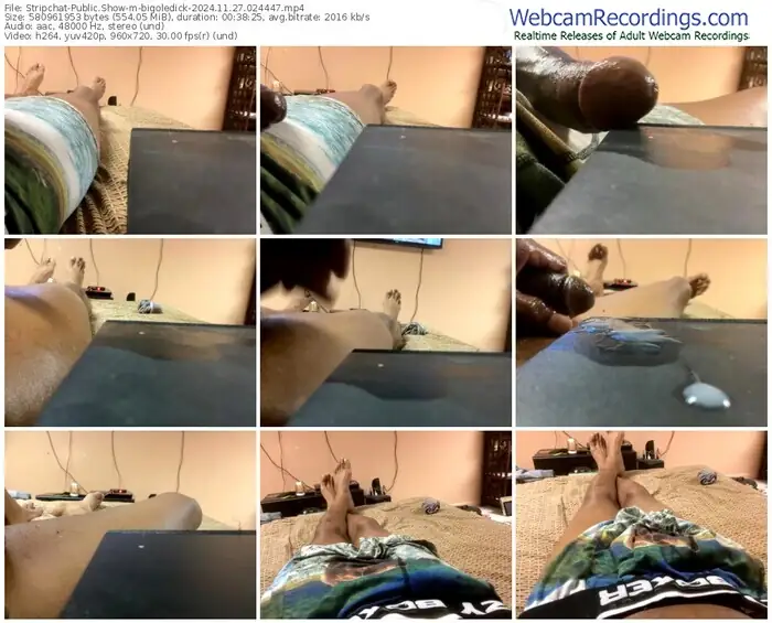 stripchat-bigoledick-11-27-2024-02-44-47